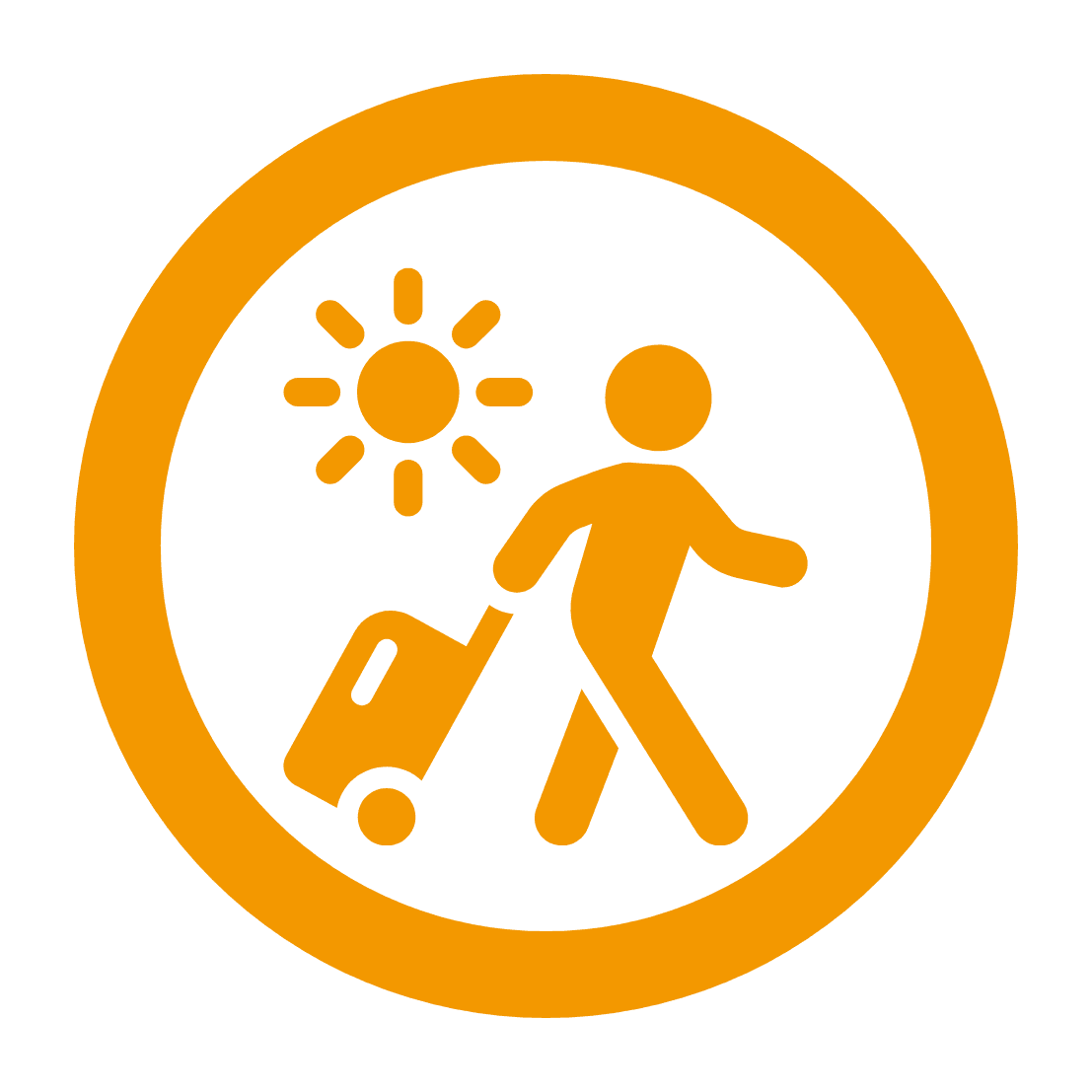 program icon