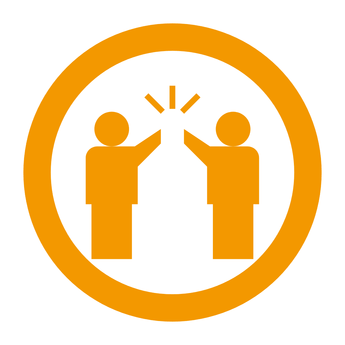 program icon