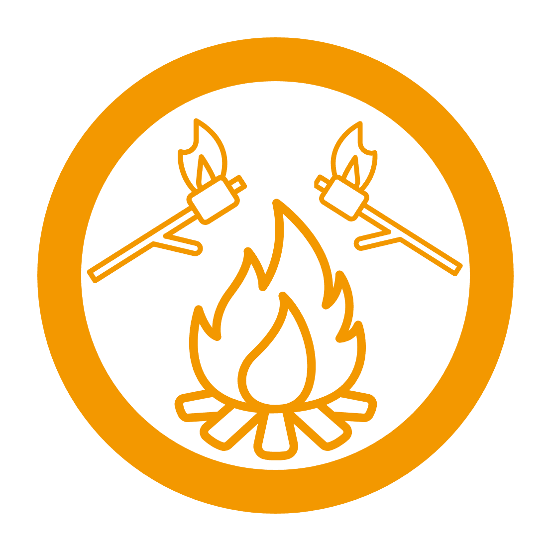 program icon