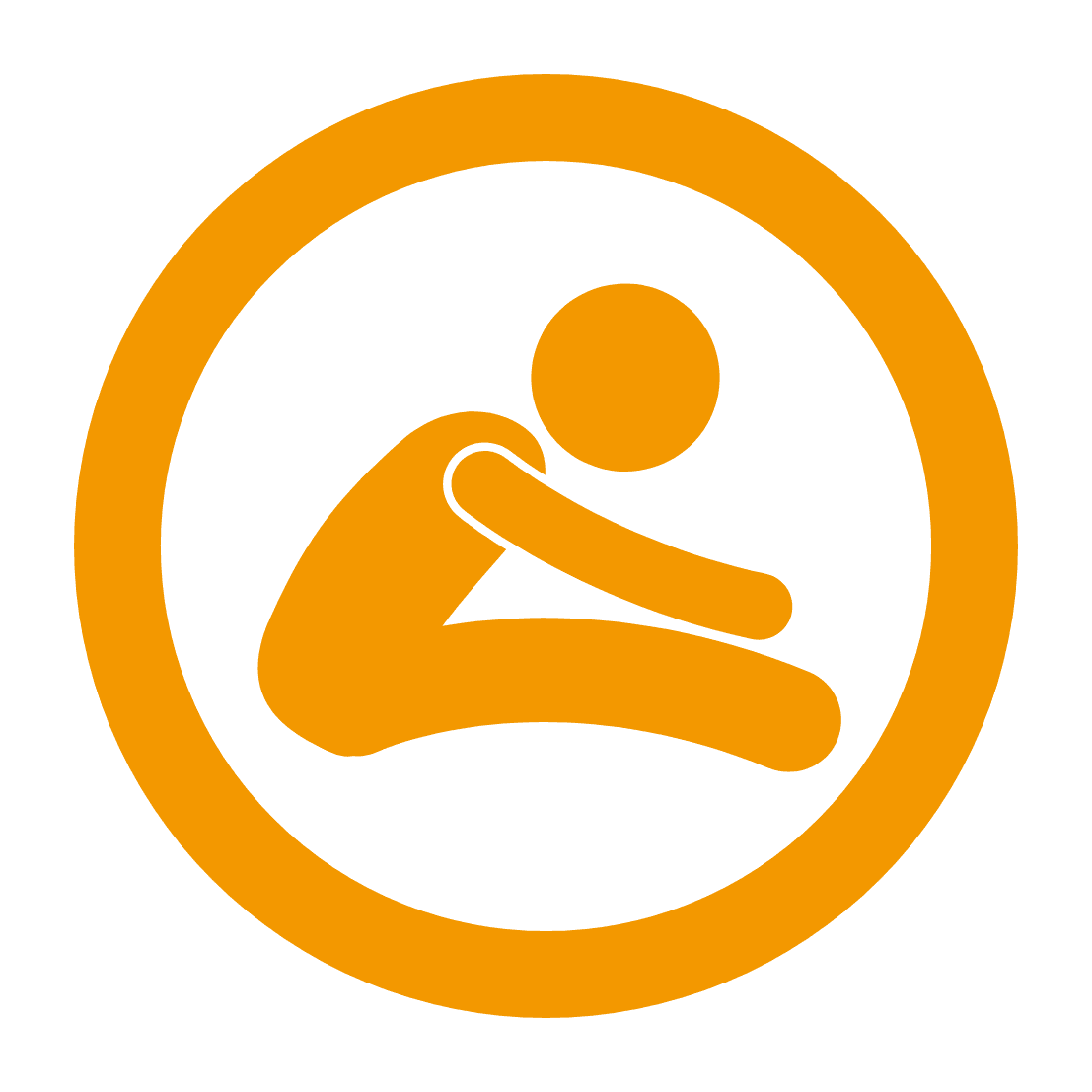 program icon