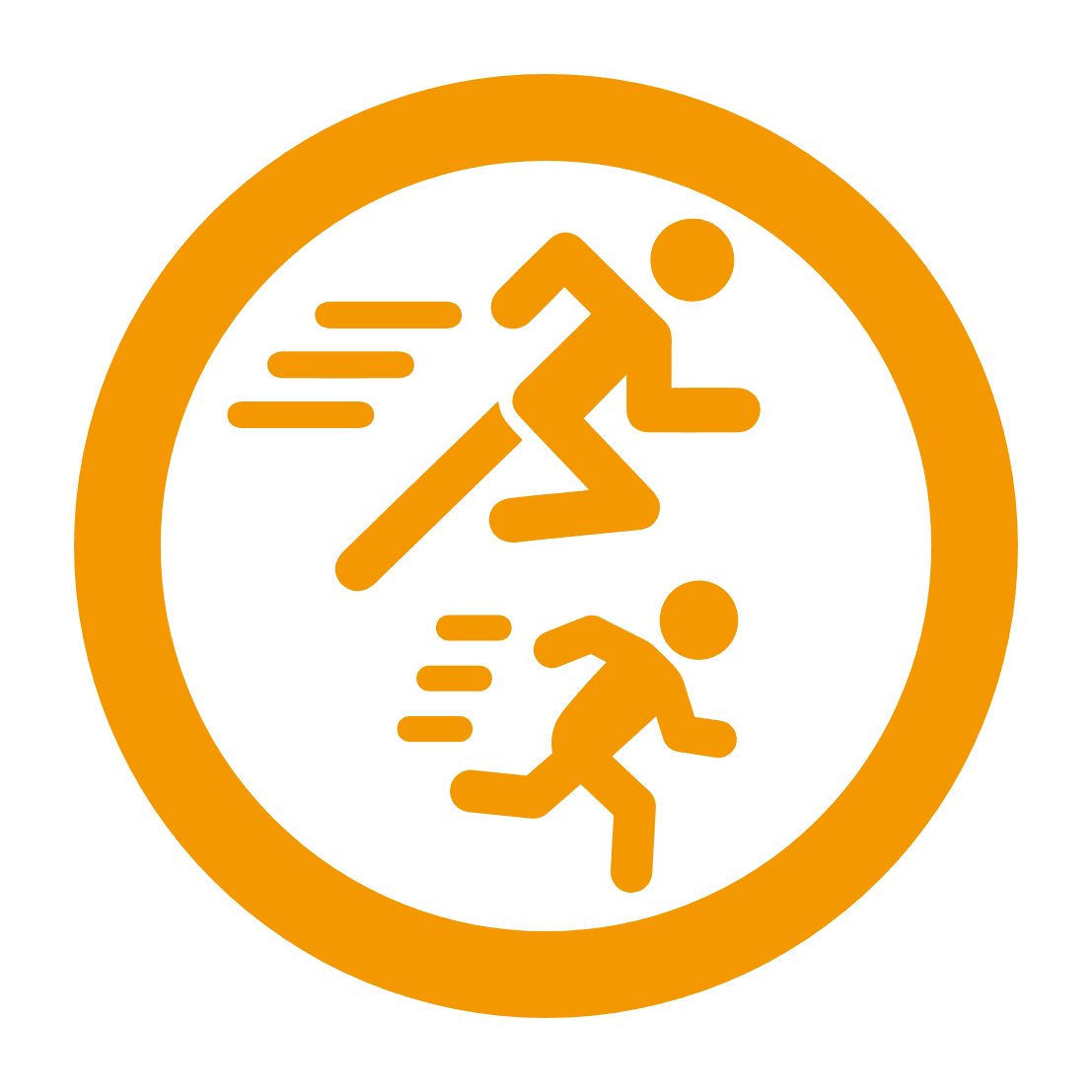 program icon