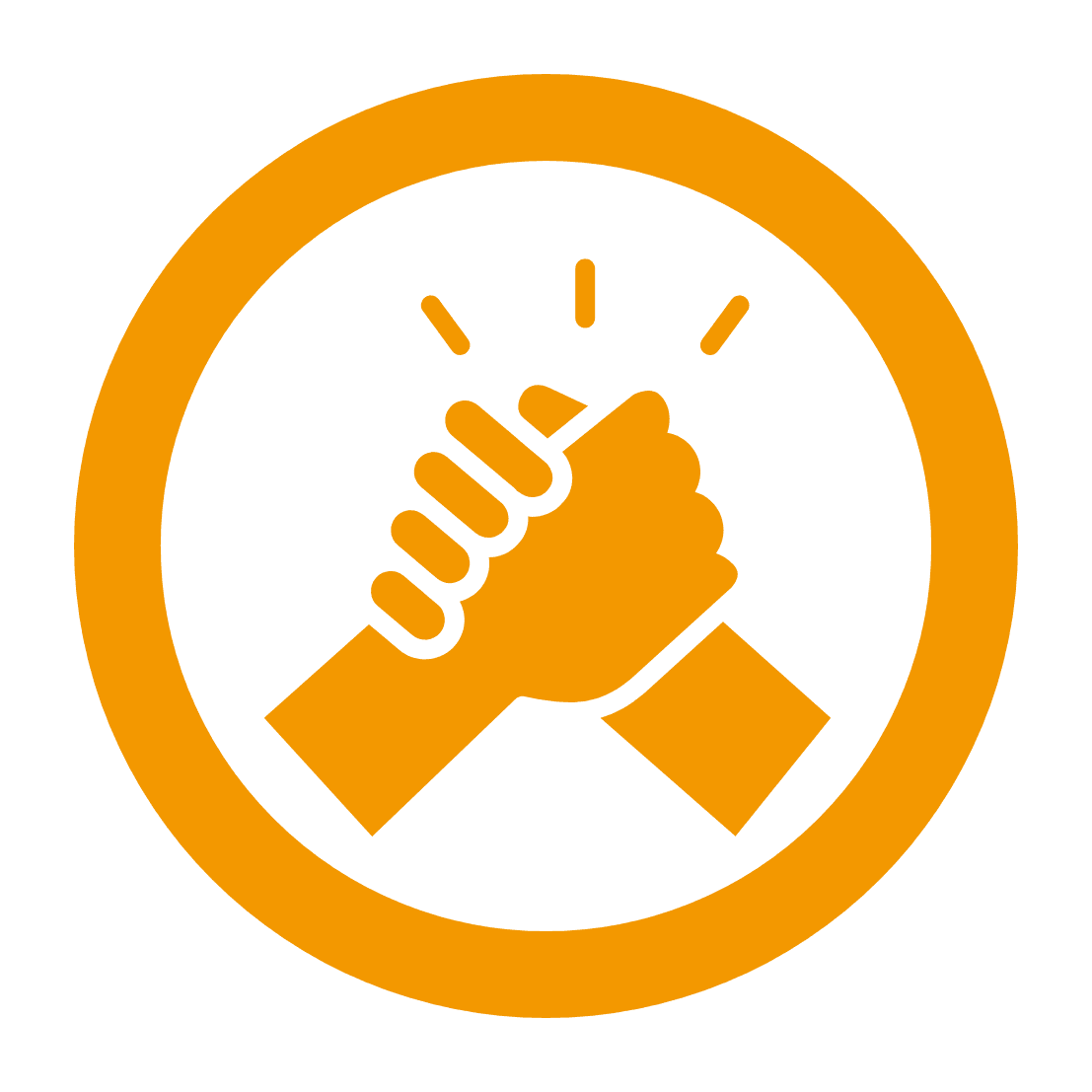 program icon